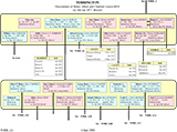 Family Tree